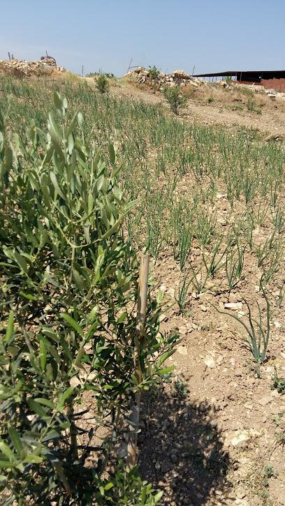 Köprübaşı Manisa Otel ve Konaklama - Karaelmacık Köyü Muhtarlığı