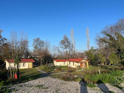 Köyceğiz Muğla Otel ve Konaklama - oleaqua