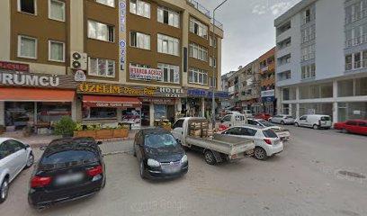 Kestel Bursa Otel ve Konaklama - Otel Özel