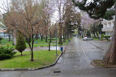 Termal Güneş Otel