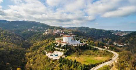 Yalova Yalova Otel ve Konaklama - Thermalium Wellness & Spa Hotel by Vima